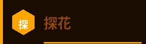 探花标志